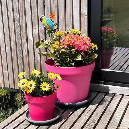 La Bricole * دينانت