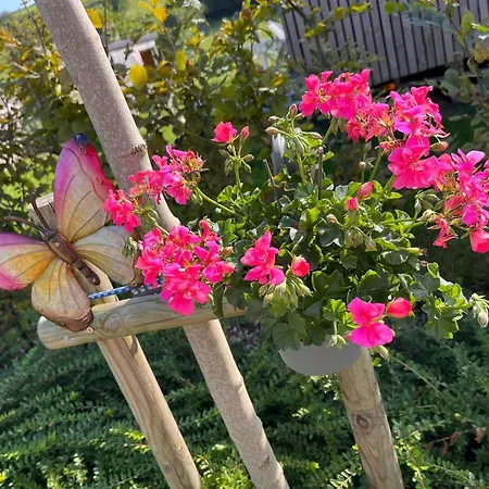 منزل ريفي La Bricole *