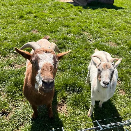 منزل ريفي La Bricole دينانت