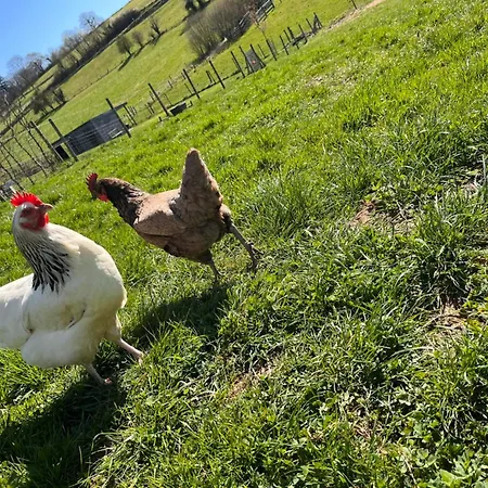 La Bricole * دينانت